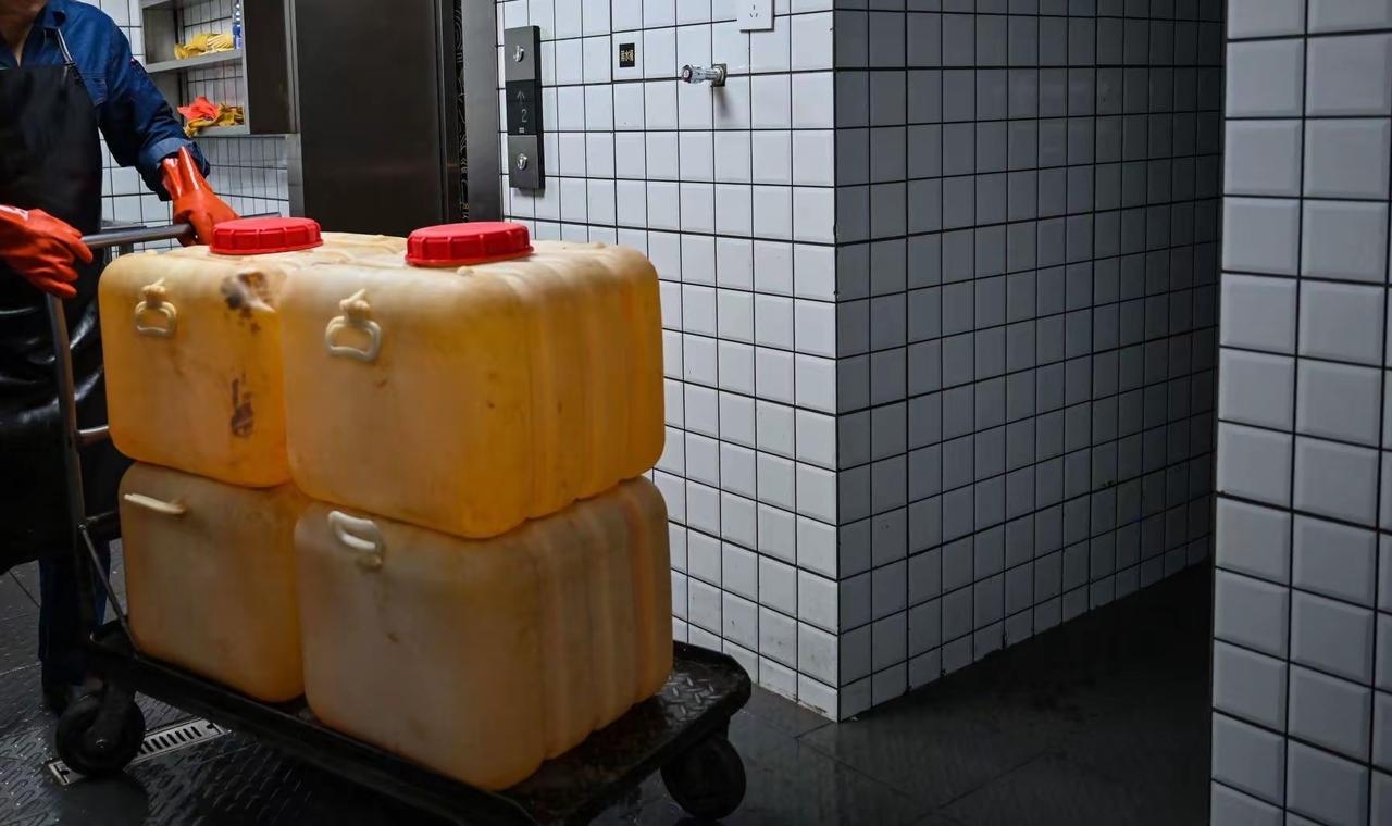 冯德莱恩航空环保政策全面点评：高标准环保锁死欧洲，转头抢中国地沟油的荒诞困局