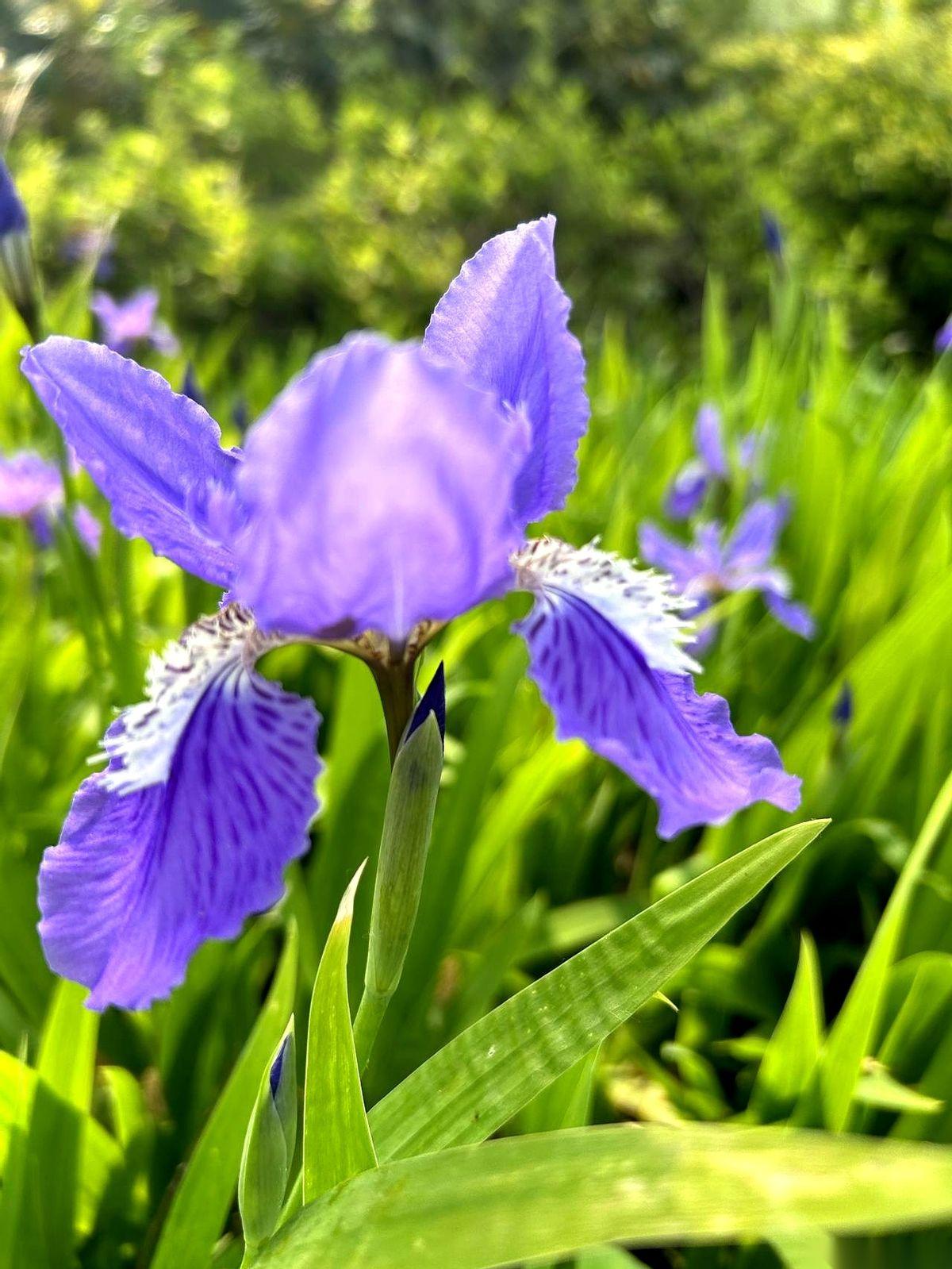 去侄子家吃饭，他一句话，我端着茶杯的手直接停在半空。他说：“叔，我俩的钱，分的