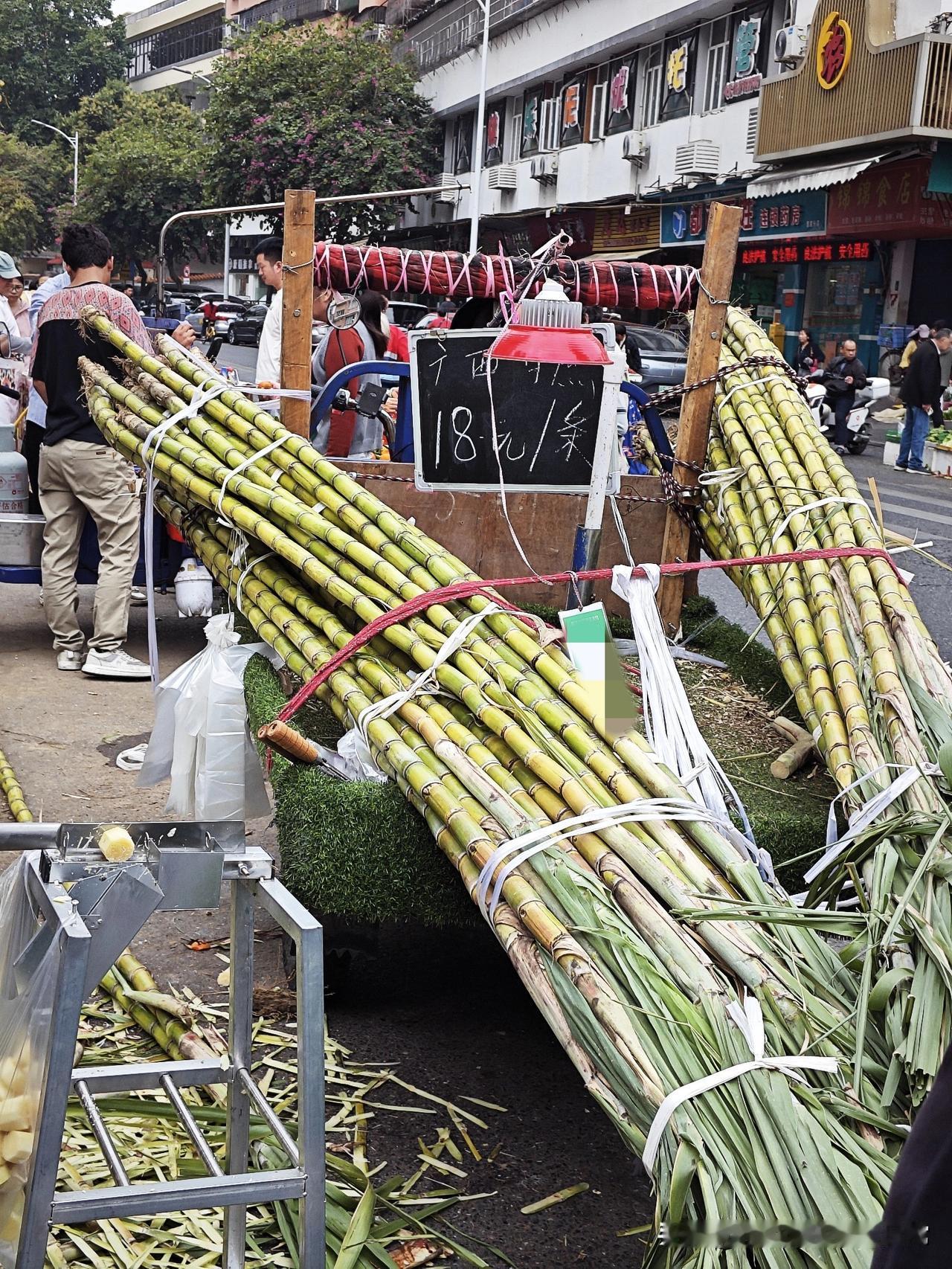城里甘蔗18元一根，乡下30元一根，这差价我惊了！今天在城里街头看到卖甘蔗