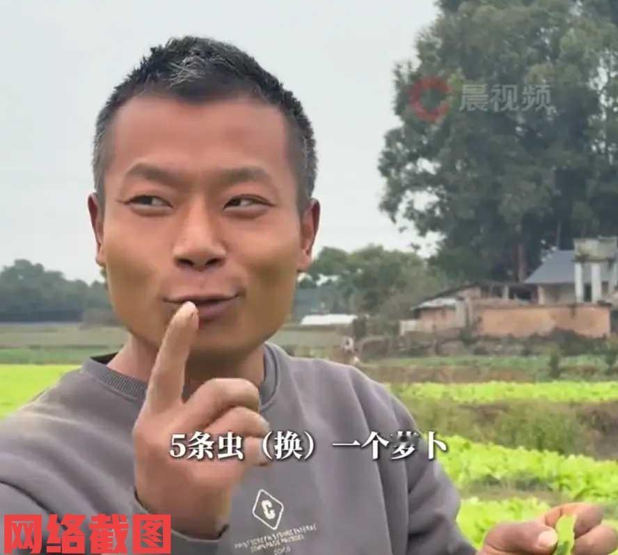 四川有老板做生意做出了太多精明。原来以前布局偷甘蔗活动结束后，如今老板又想出