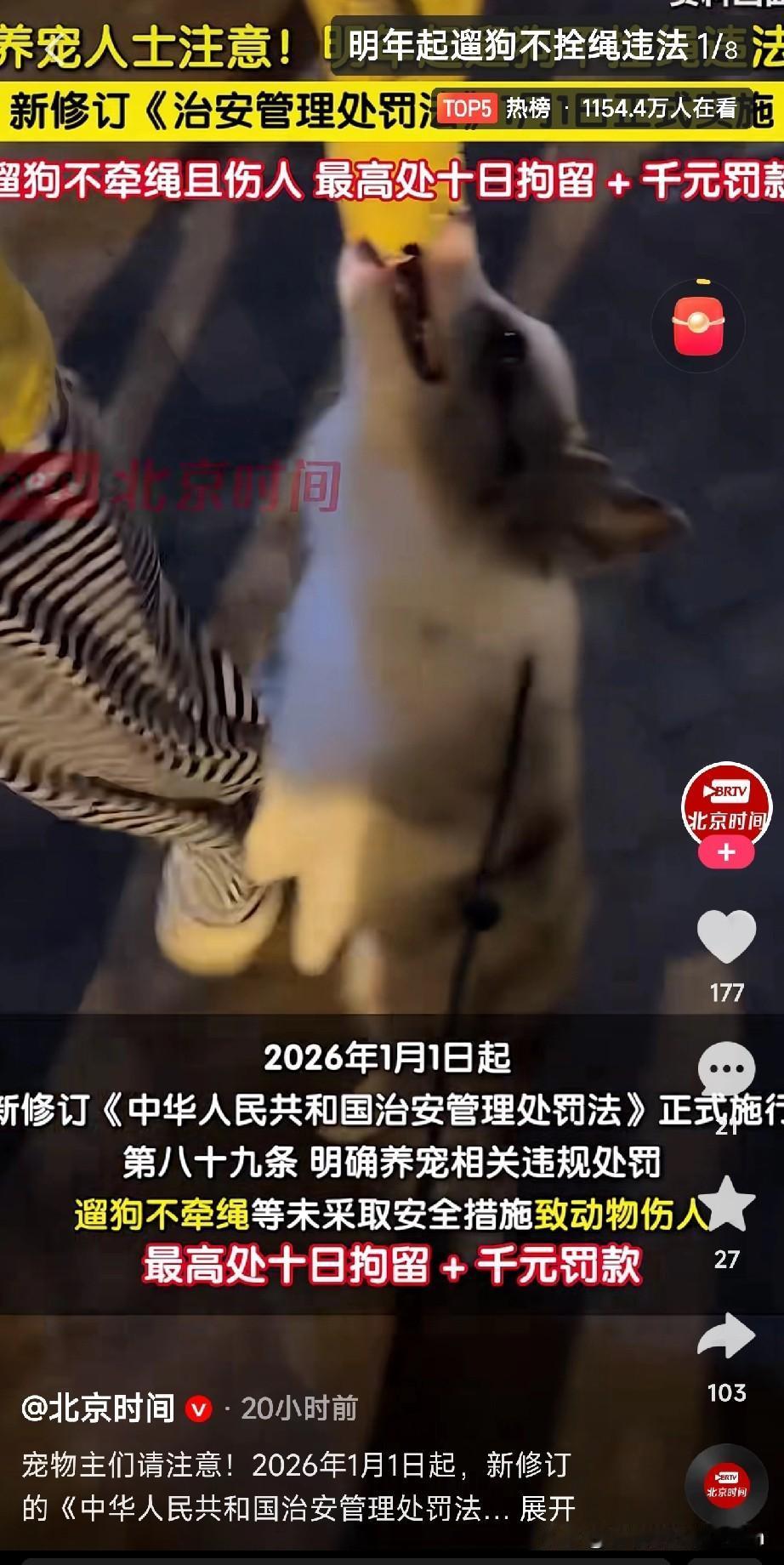 各位友友们注意啦！养宠规矩有重大变化！2026年1月1日起，新版《治安管理