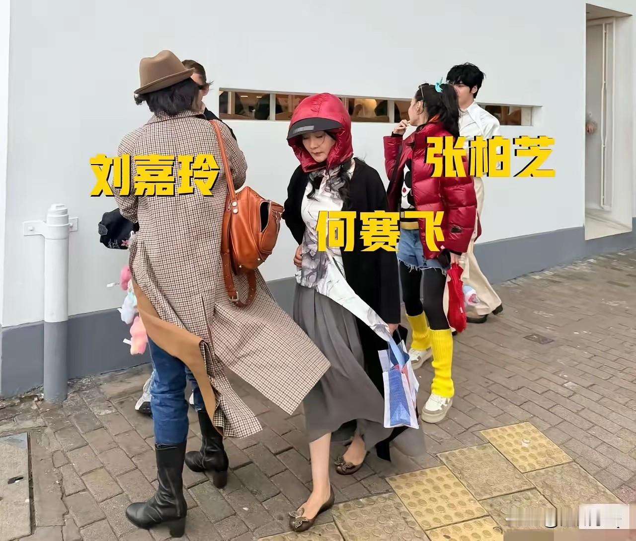 难怪何赛飞的帽子看着这么突兀，原来是从张柏芝羽绒服上卸下来的帽子啊，换一方面来讲