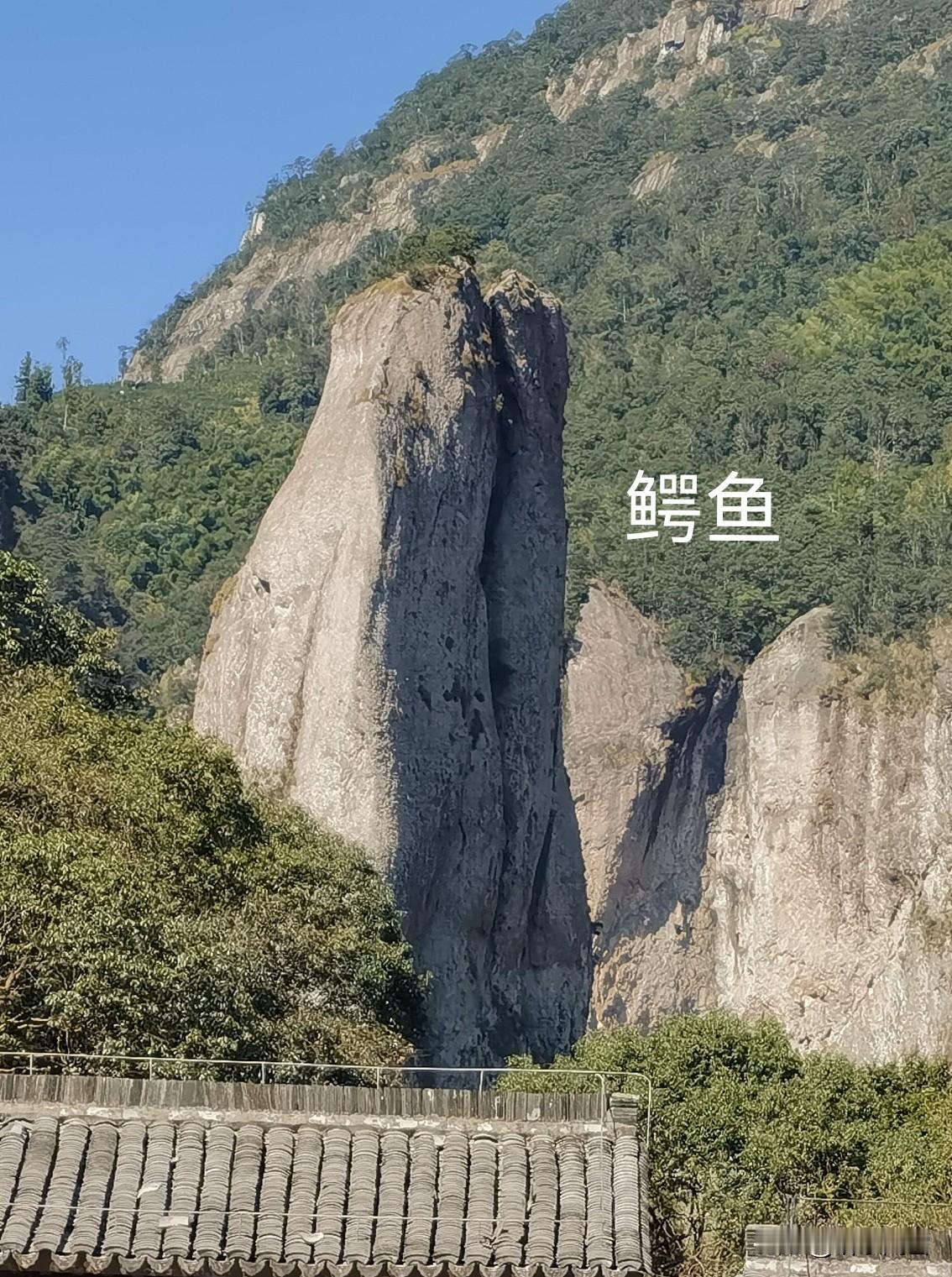 雁荡不见雁与苇，奇峰变幻八张脸。十年前女同事盛赞雁荡山，即一直暗恋惦记。昨天来此
