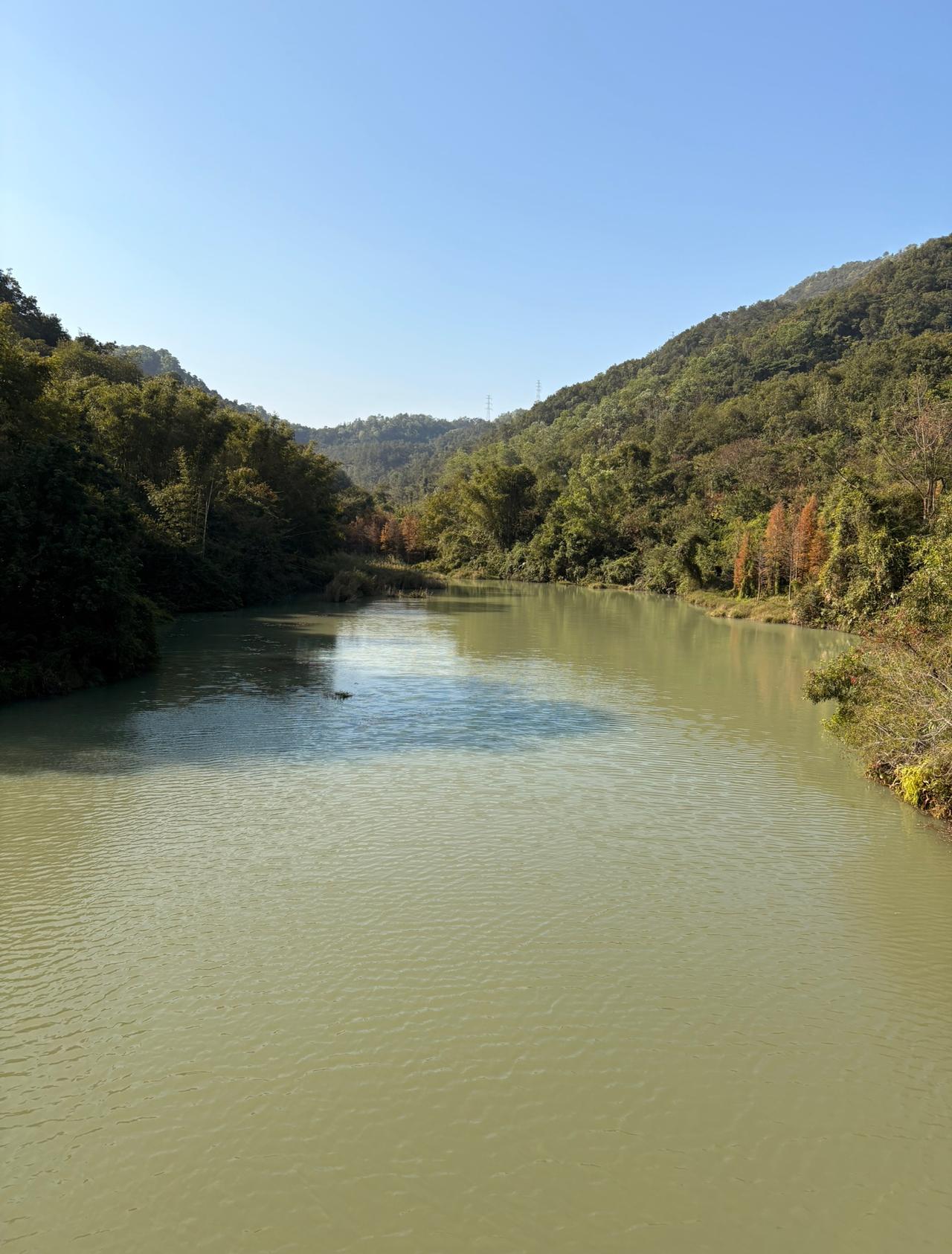 今天去学校接孩子的时候，听见几个家长在边上聊天。有一个家长说，他们班上排名第