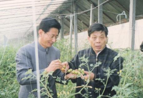 1991年，寿光县委书记王伯祥调任，前往潍坊担任副市长，然而他在临走前，竟将院子