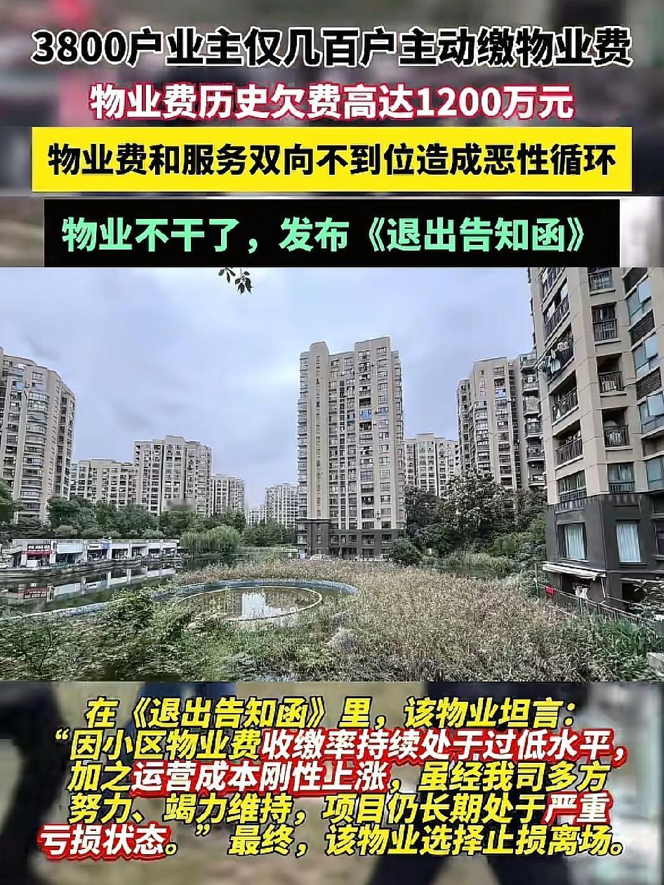 杭州一小区被欠物业费1200万物业退出不干了！很多人对物业的理解就是一个大型的保