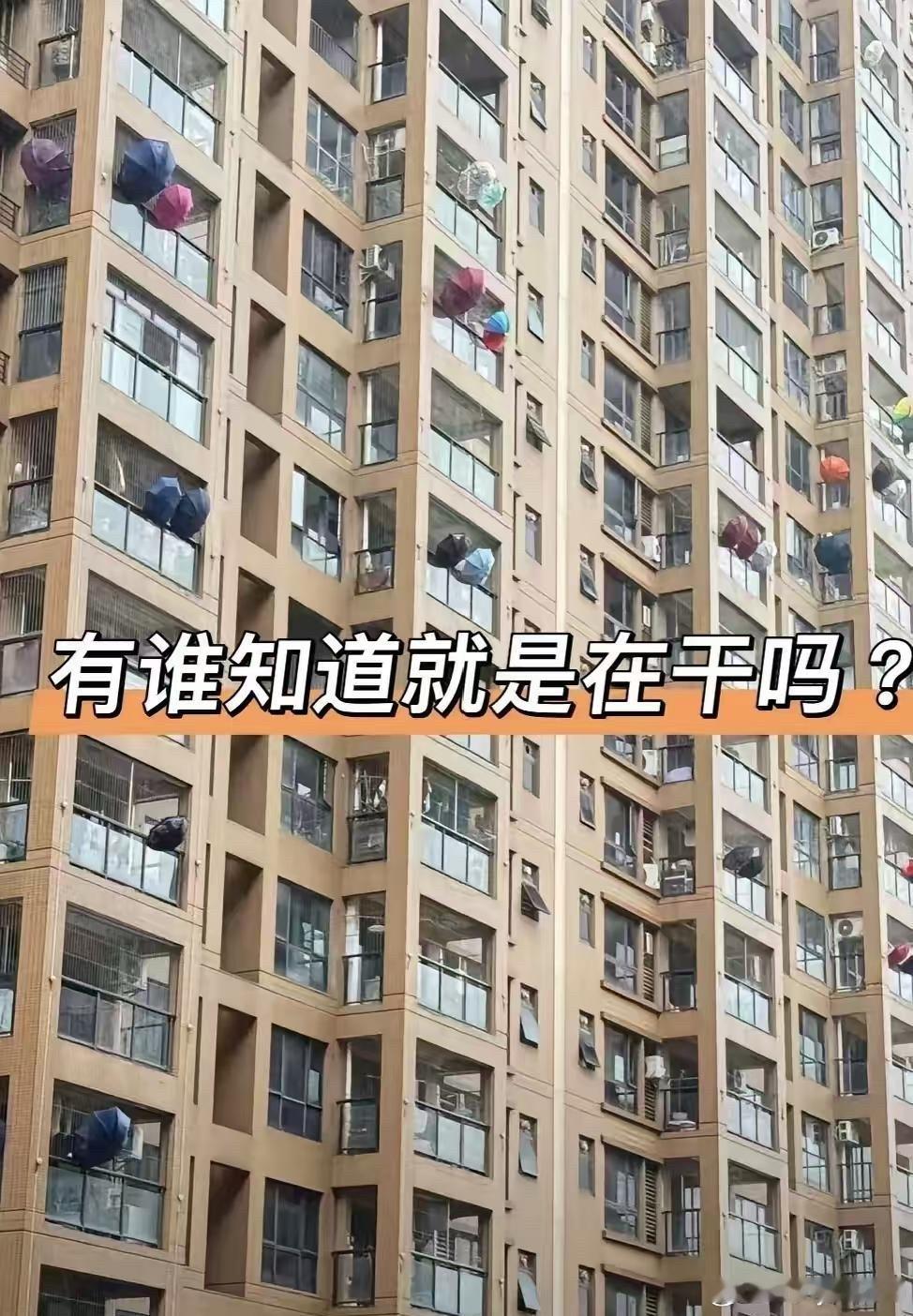 整栋楼家家户户窗外挂满雨伞，看不懂这是啥操作​​​