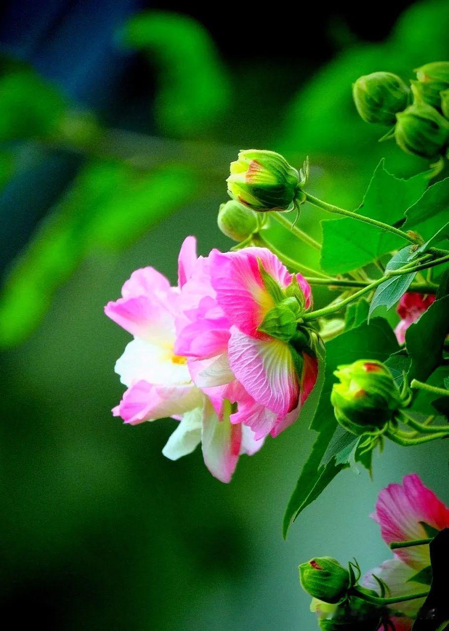 记住一点，能让你变得越来越好的，只有你自己人这一辈子啊，总会有那么些时候，