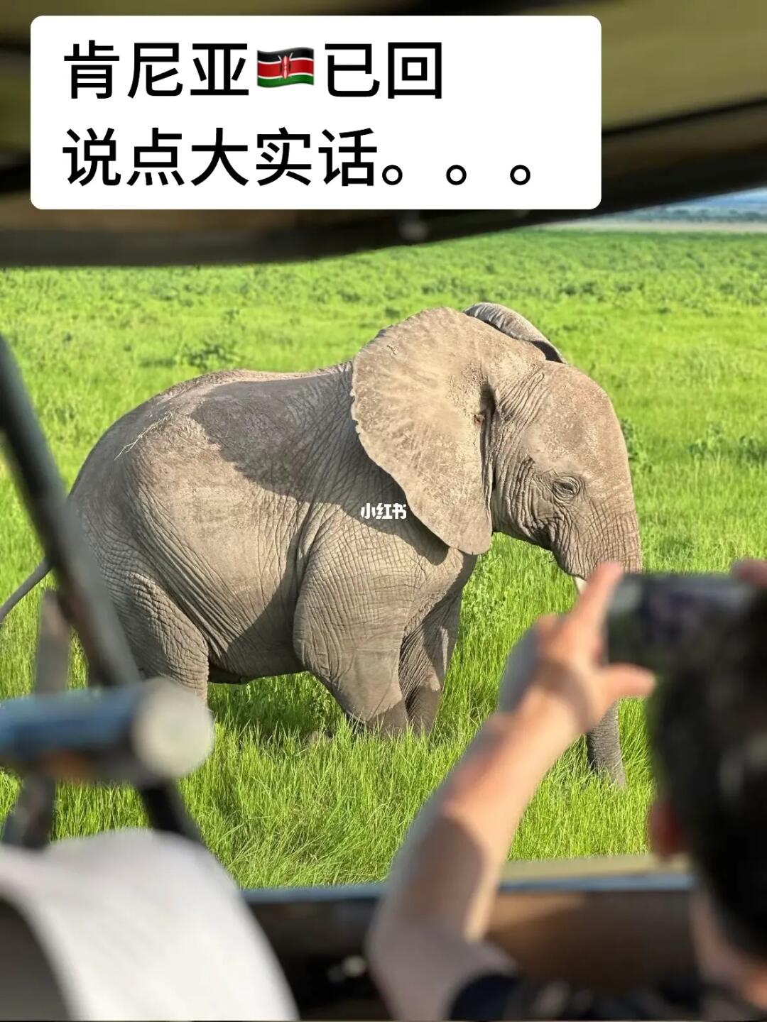 别被骗了！这才是真实的肯尼亚。。。