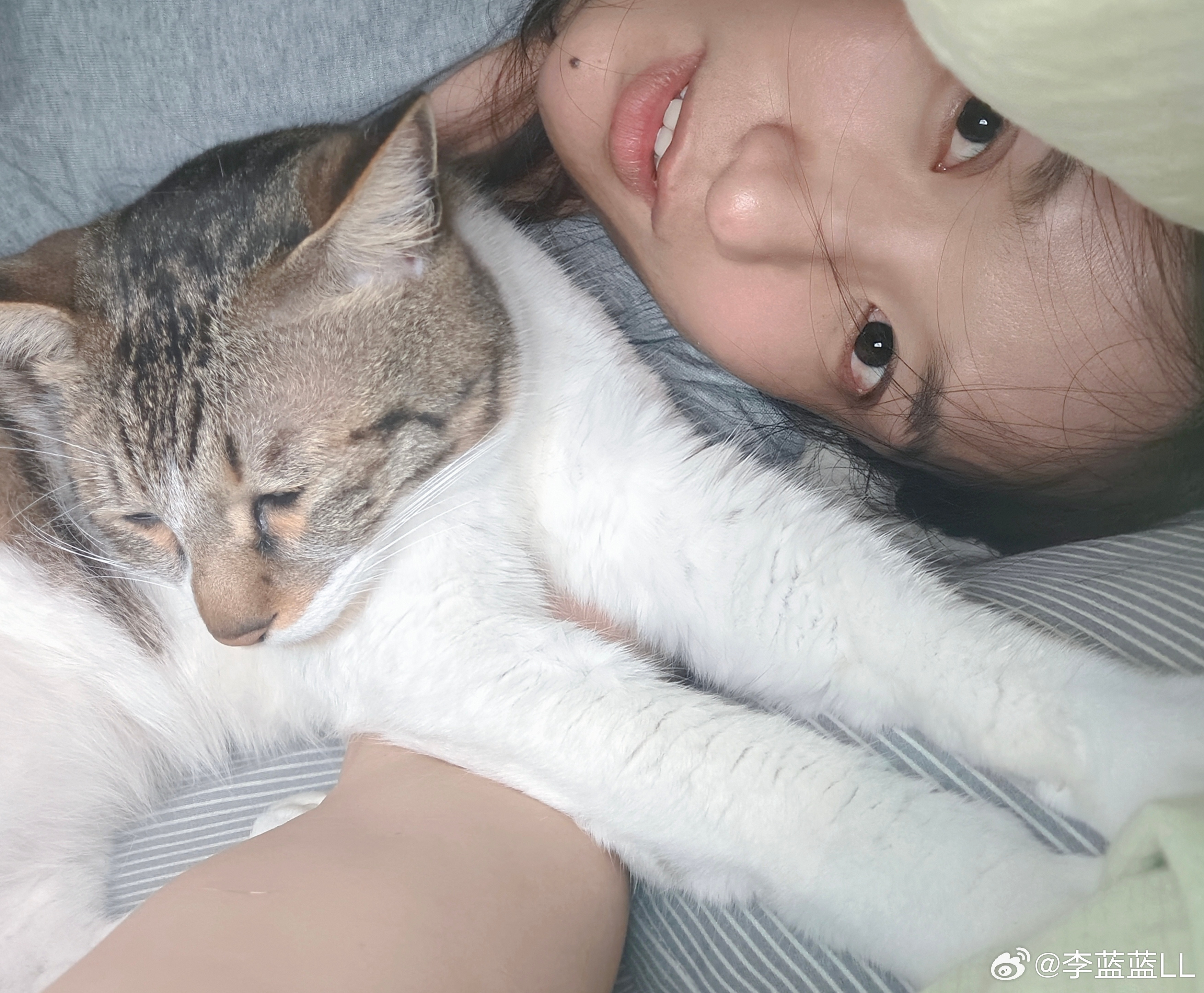 知道为什么建议你们养一只猫吗？天气一冷，有一只小猫暖被窝，这不幸福感拉满啊～