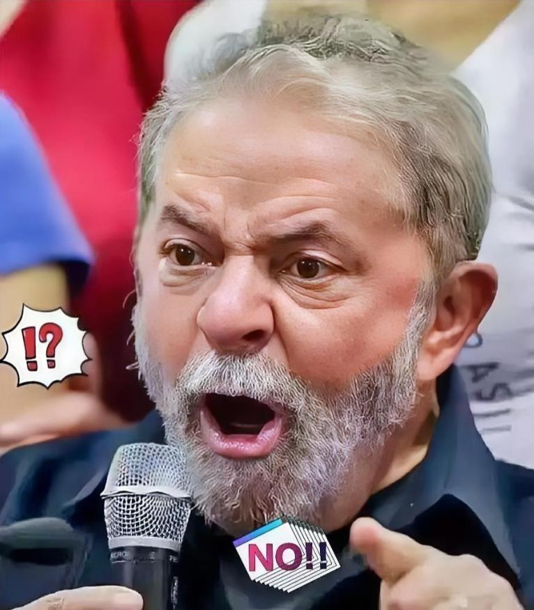 10月28日,巴西外贸委员会管理执行委员会(GECEX)正式发布2025年第80