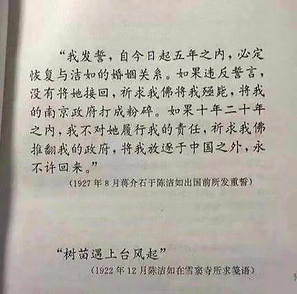 时值蒋宋媾和前夕,为摆脱掉现任妻子,黑社会头子蒋介石,曾对现任妻子陈洁如(第三任