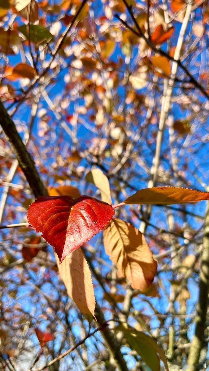 发现了吗？我们这辈子绝大多数的焦虑，其实都是一些无用的焦虑。说白了，焦虑就是大脑