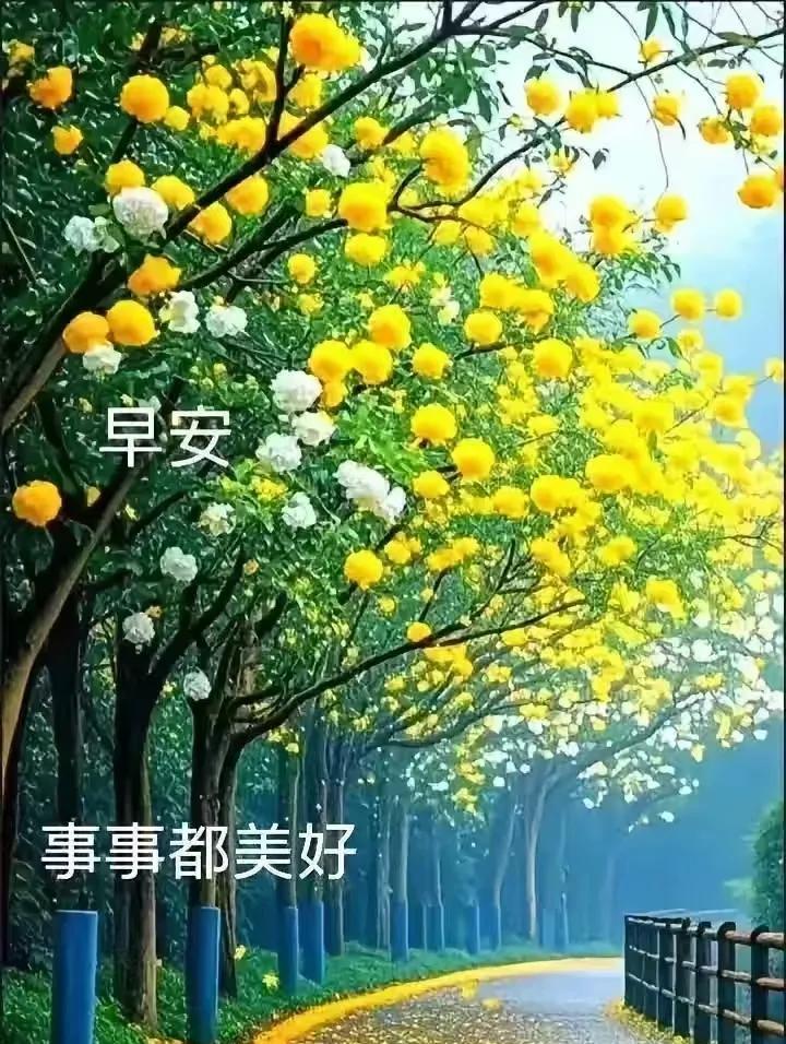早上好，今天是排球迷高兴的日子，2025年世界女排联赛北京站的比赛于今日进行。