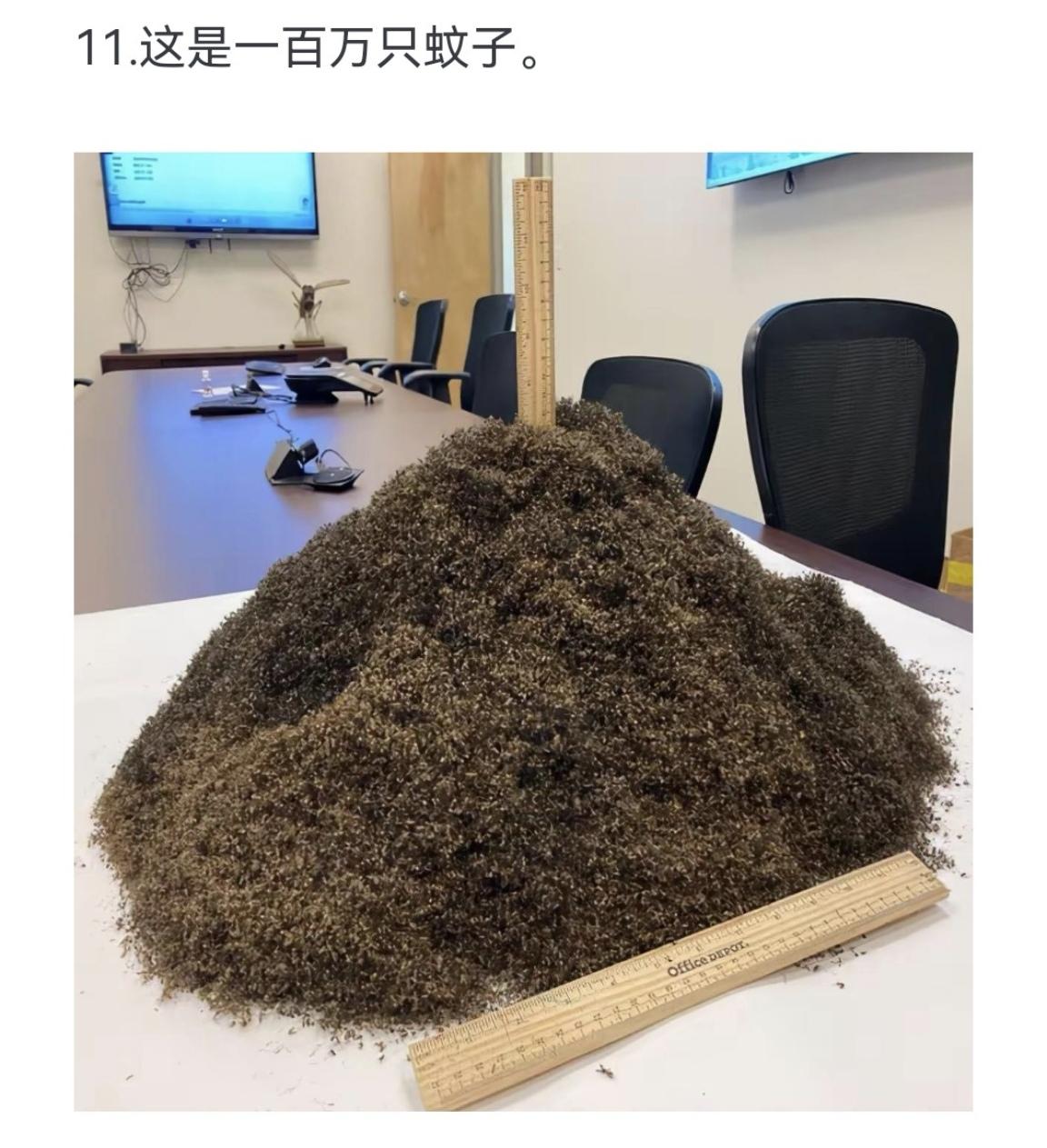 一百万只蚊子