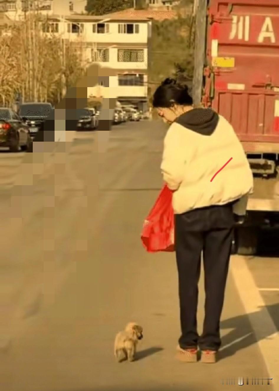 真的越想越解释不清！小姐姐买完东西往家走，身后竟突然冒出来一只小奶狗，一路悄悄跟