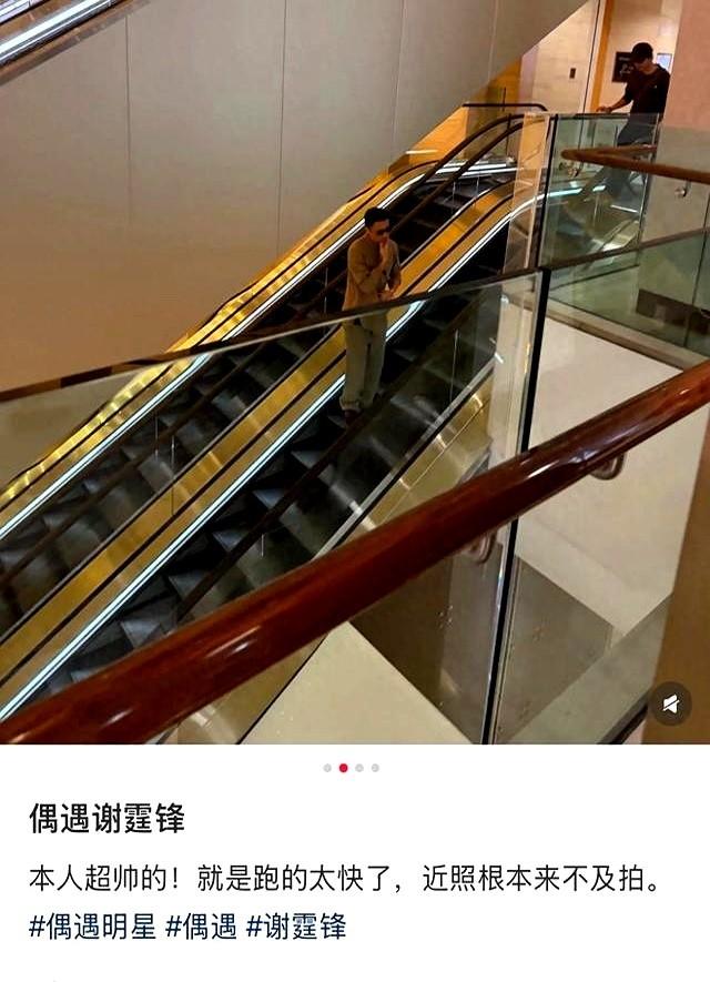 刷到谢霆锋和他儿子逛街的照片，我跟你说，我愣住的不是他俩长得有多像。是下扶梯的