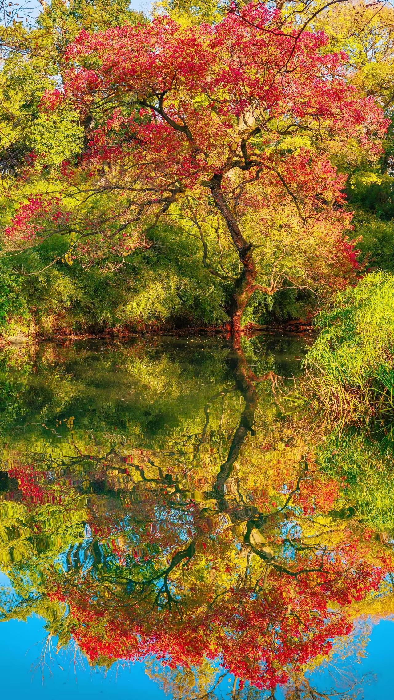 人间最美景色，秋天，五彩斑斓美图绝美好照片美景治愈图片