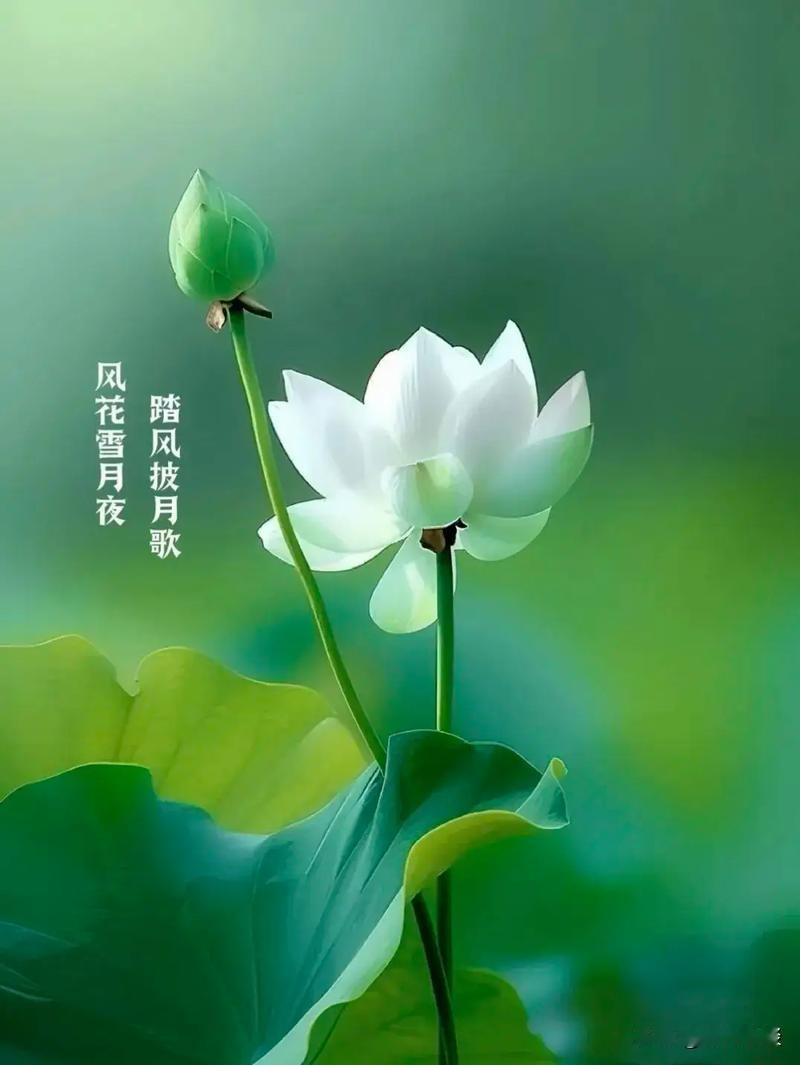 五险一金这些事，二十多岁那会儿谁当回事啊。我今年41，属牛的，前段时间去社保中心