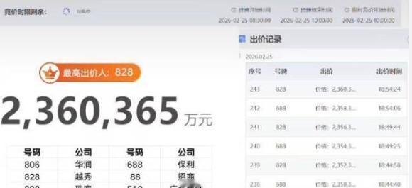广州马场地块236亿成交，土拍大战围观超10万，页面都崩了广州开年土拍彻底火出