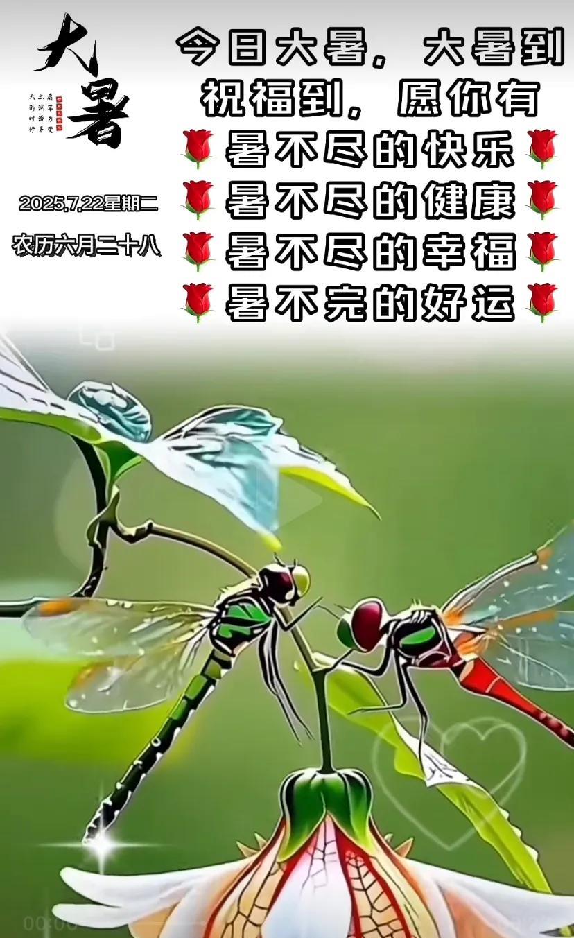 今日大暑，注意防暑降温，愿我们都健康快乐！