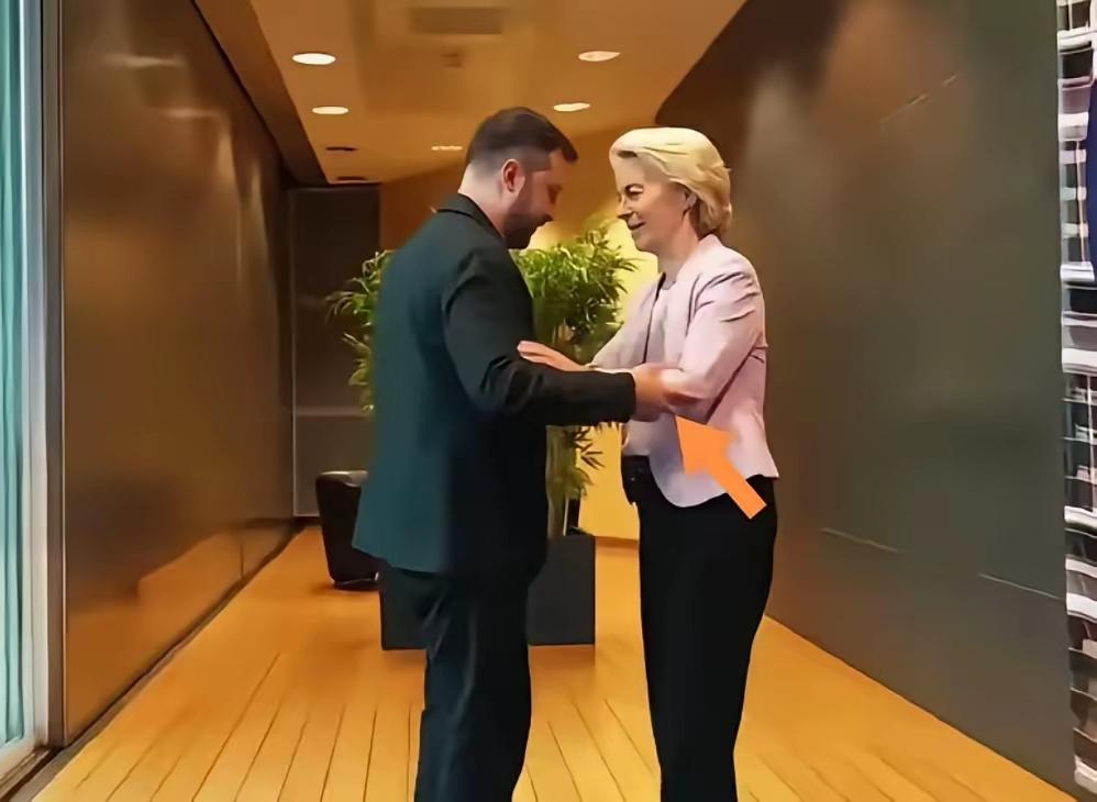 红军城即将沦陷，危在旦夕，欧美隔岸观火，听之任之。当初以加入北约为诱饵，鼓动泽连