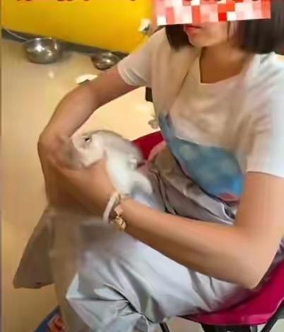 沈阳，一女子进入一家猫咖店，趁店员不注意，使劲捏一只小奶猫的喉咙，还将小奶猫拧成