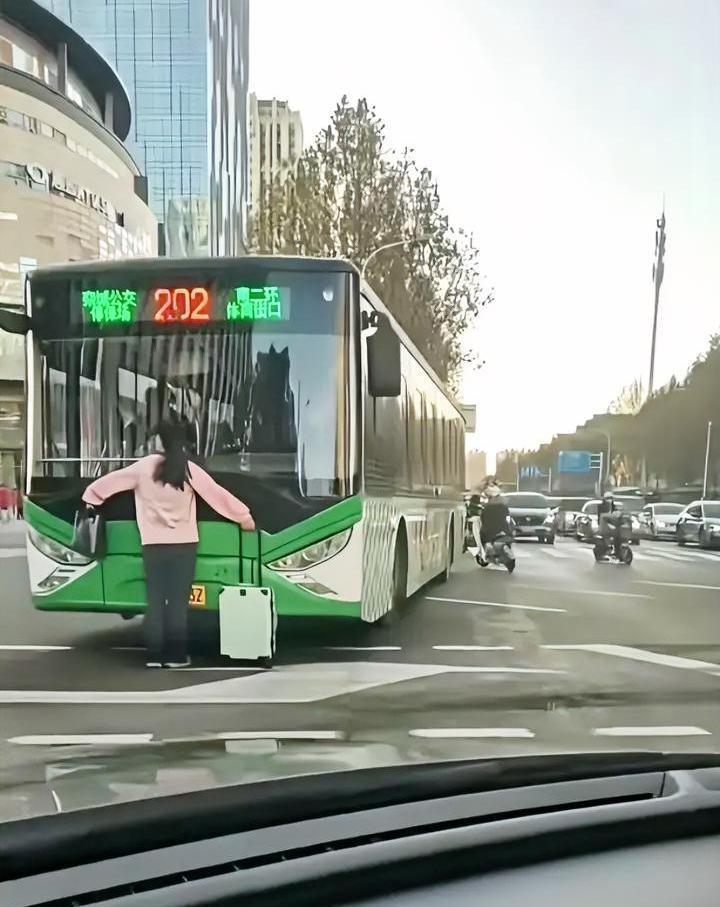 来自小仙女的热情