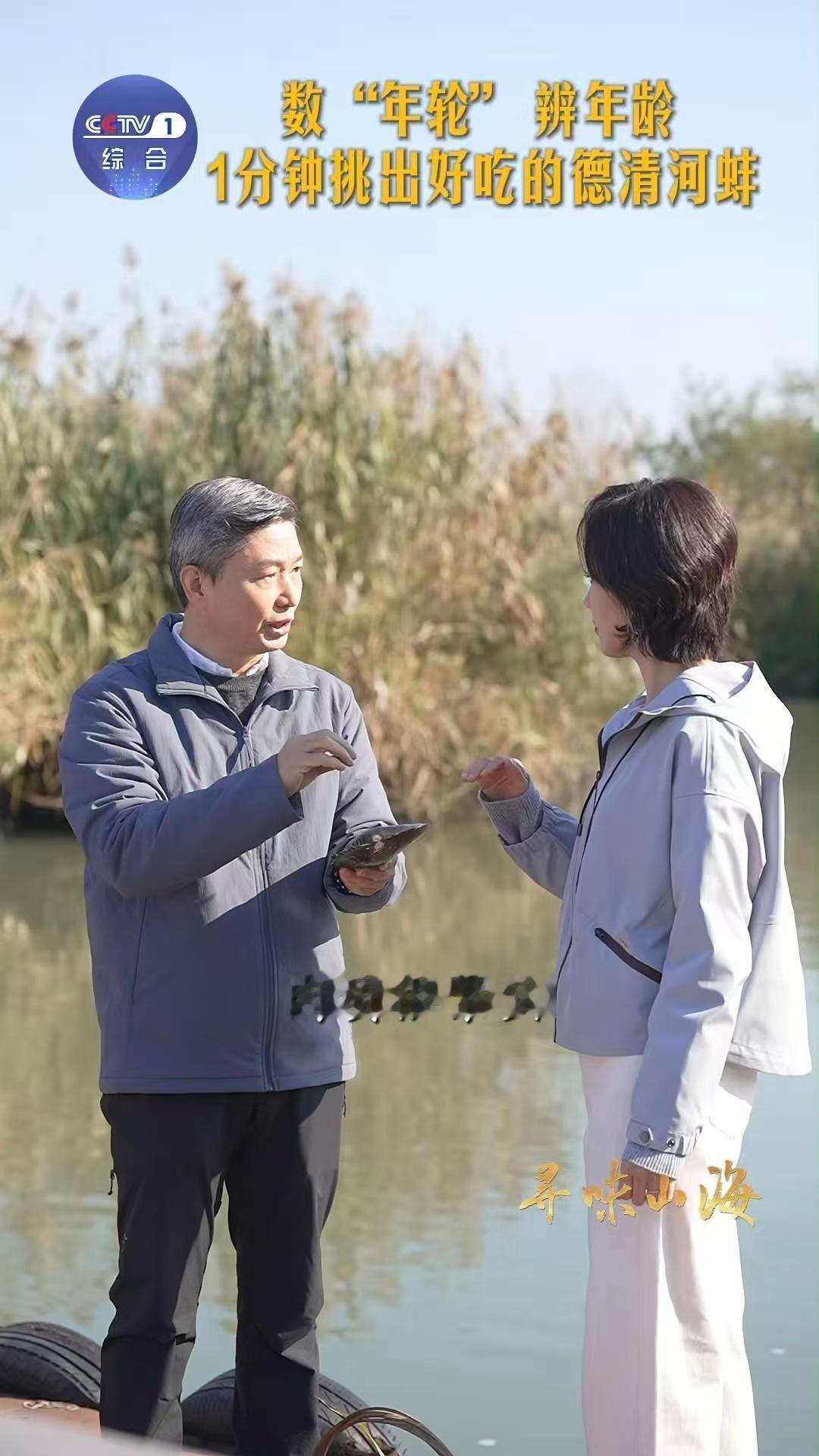 河蚌怎么溜达原来河蚌也有年轮水底的“行者”与时光的书记官！原来河蚌壳上的生长纹