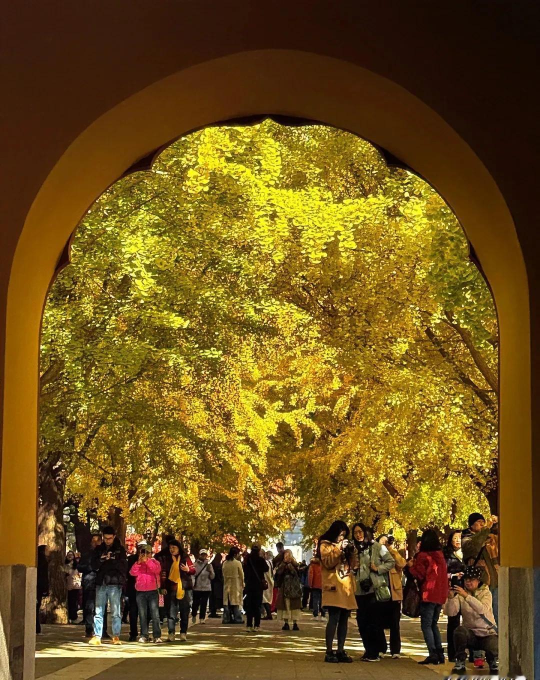 别一股脑把底牌摊桌上。职场不是辩论赛，是麻将局——你得留一张王牌，才能胡最后的