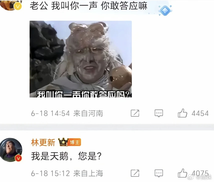 林更新又回来了，我哥没输过