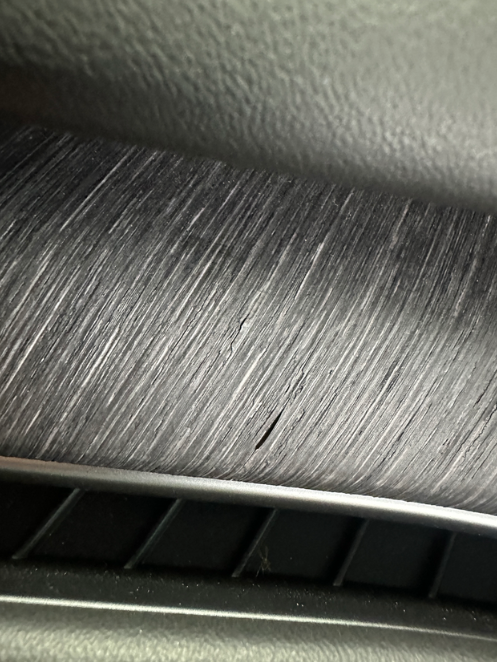 蔚来再生藤木，车未满月就开始在车里生长了蔚来ES6提车不到一个月副驾驶的再生藤