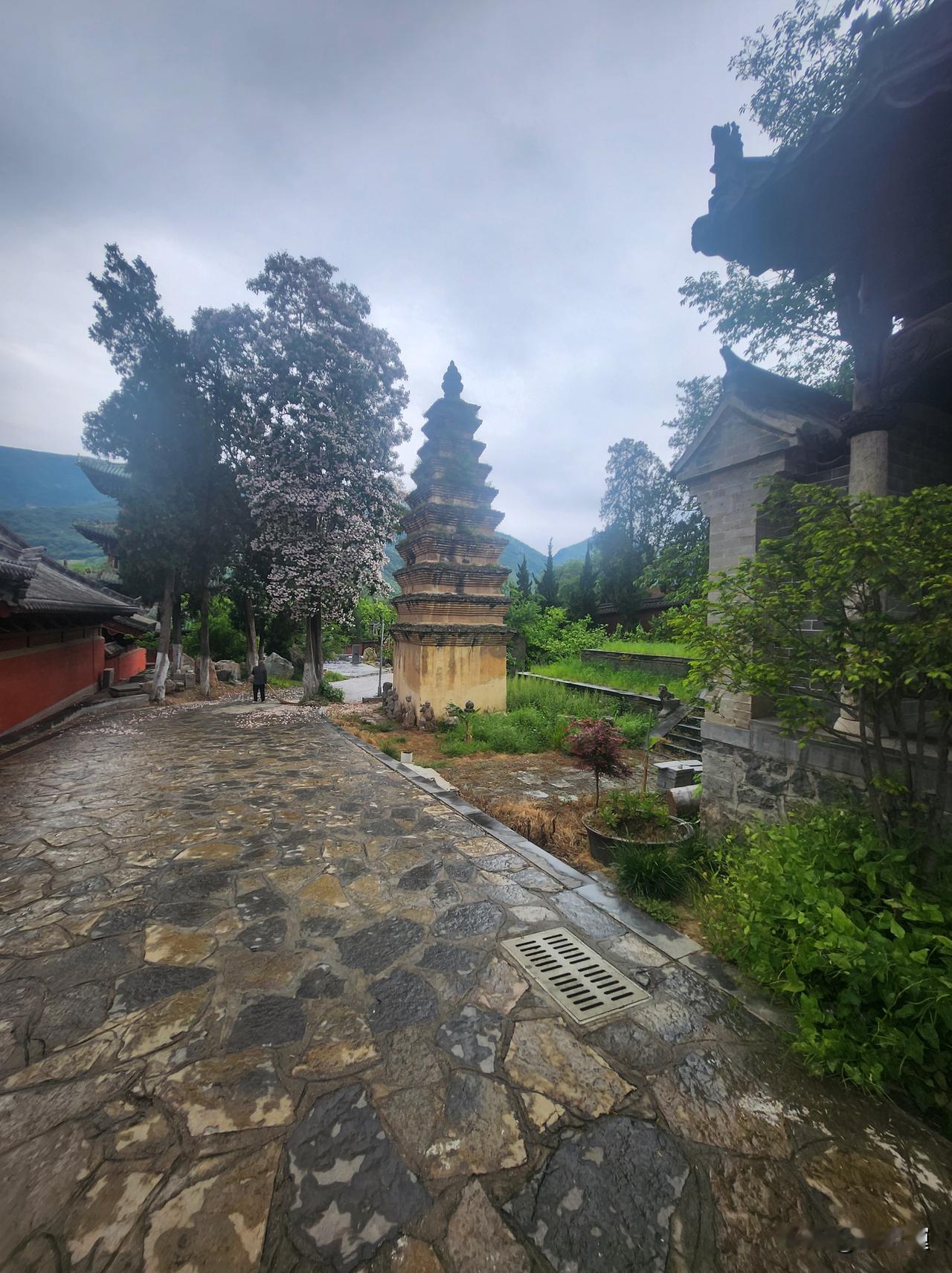 圆了半辈子武侠梦！嵩山少林寺深度游记，禅武江湖+绝壁仙境，一趟玩遍千年传奇