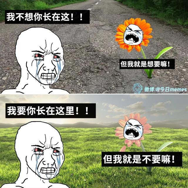孩子乐意（9gag）今日meme今日memes​​​