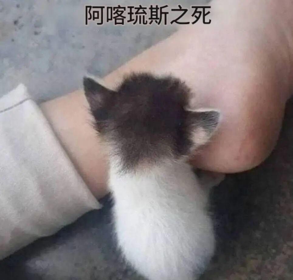 十大史诗瞬间
