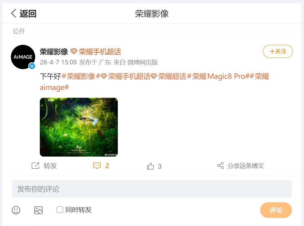 其实生活中的美好无处不在，刚刚看到荣耀影像分享了一张，利用荣耀Magic8Pr