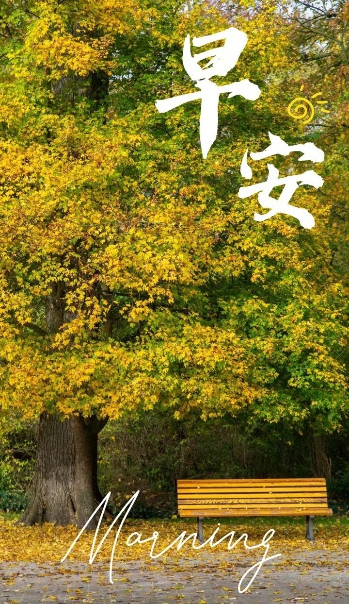 人生最遗憾的，是拥有时未真心相待，失去后才知其重要。时光不能倒流，后悔无法回头。