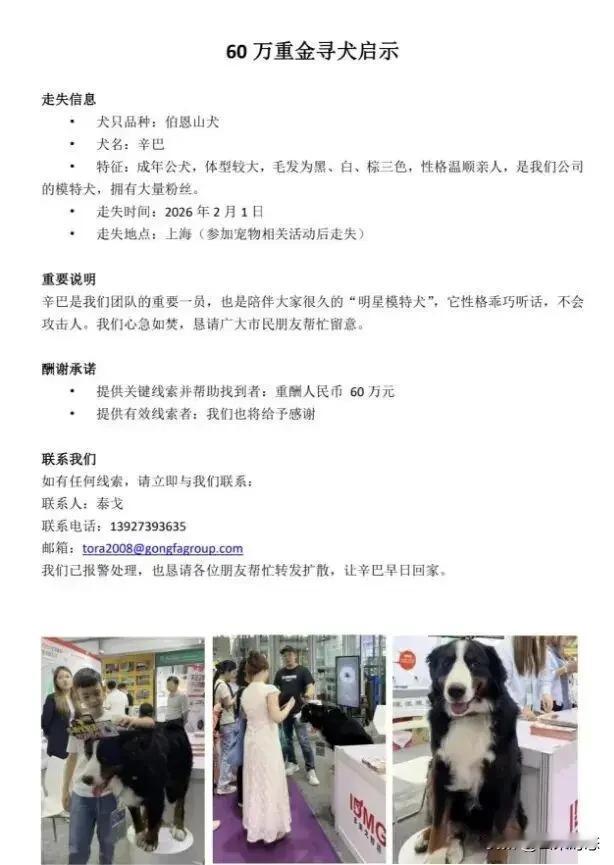 悬赏60万！找狗！家人们，最近一则“重金寻狗”的启事在网上炸开了锅！广东惠州