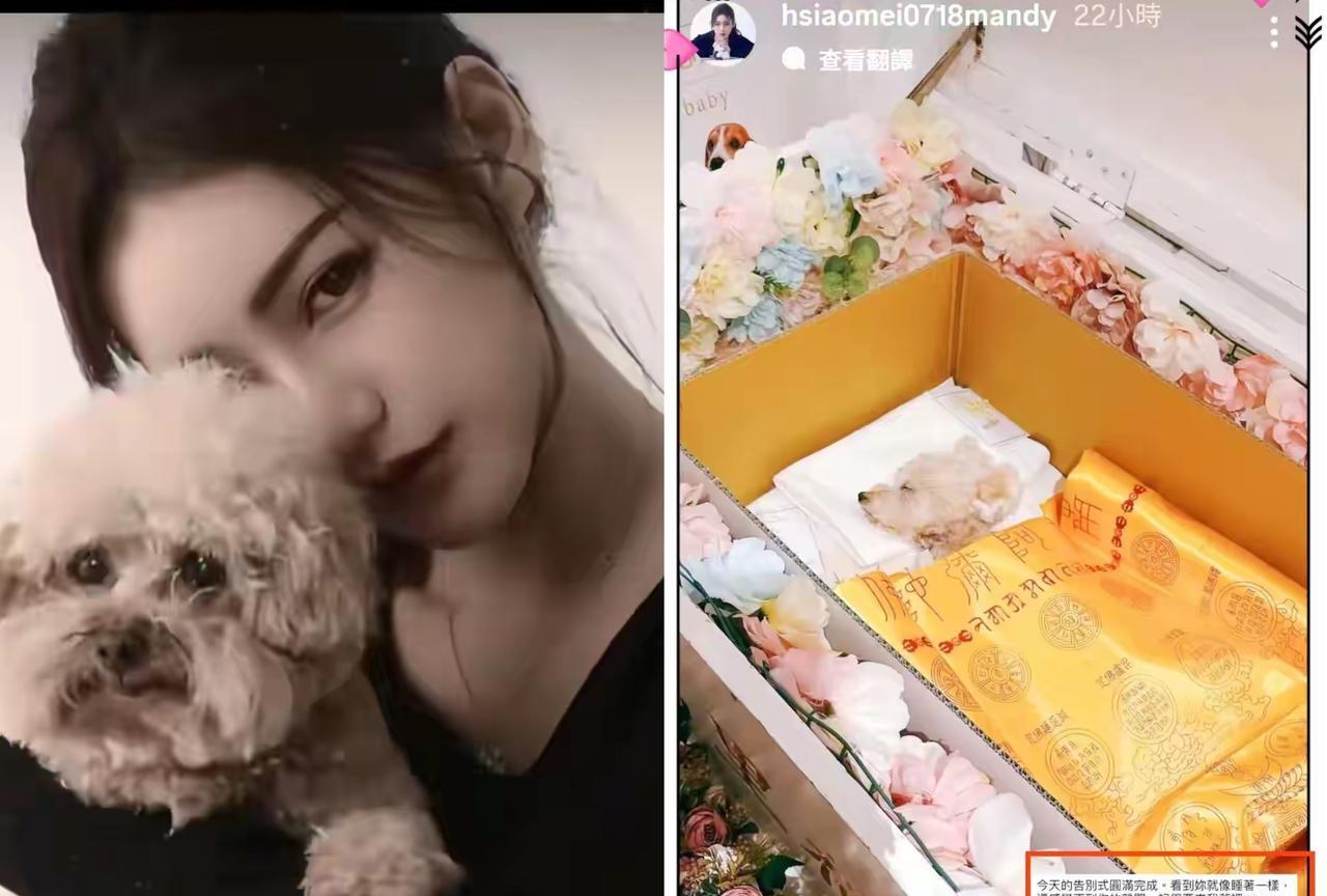 马筱梅的宠物狗去世，汪小菲忙工作，张兰忙着直播，马筱梅无心助力婆婆，飞湾湾厚葬爱