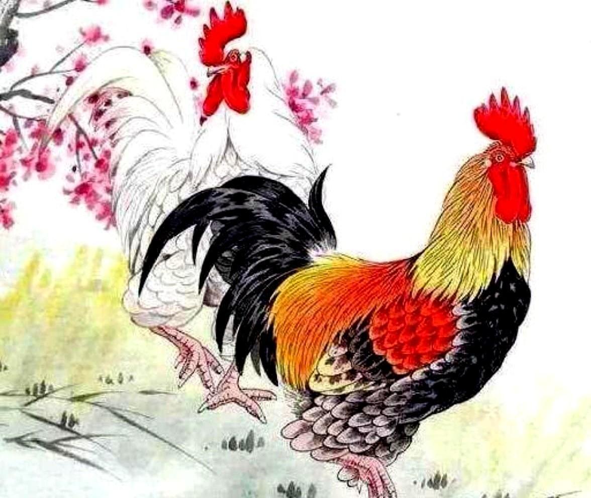 45岁的门槛，似乎已成为很多属鸡人群的转折点。这一代人，用了二十多年的奋争，从拼