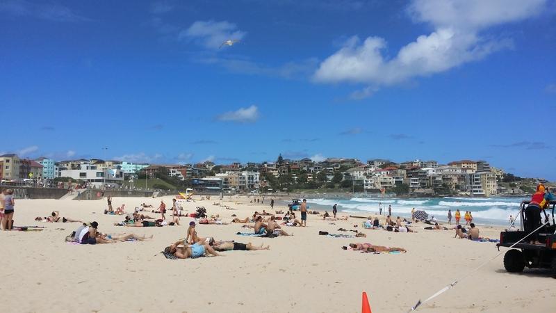 悉尼海滩枪响！10条人命没了，这禁枪真不能再拖了！刚刷到新华社快讯，直接给