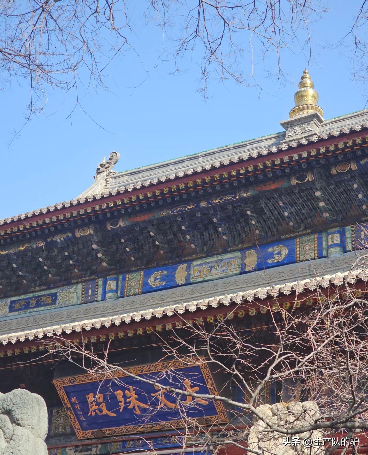 五台山行记我本无宗教信仰，亦不抵触世间信仰，此行五台山，既非为祈福而来，也不