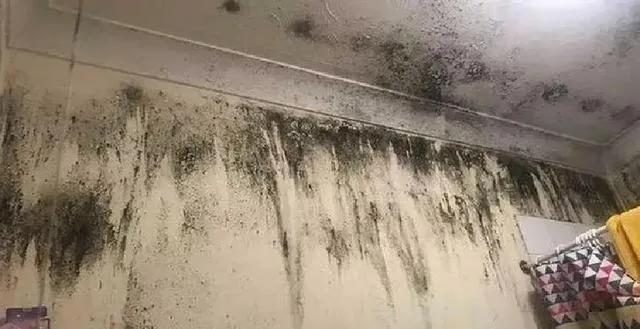 梅雨天开窗还是关窗？千万别搞错了！这几种情况可以开梅雨季空气湿度飙升，墙面、