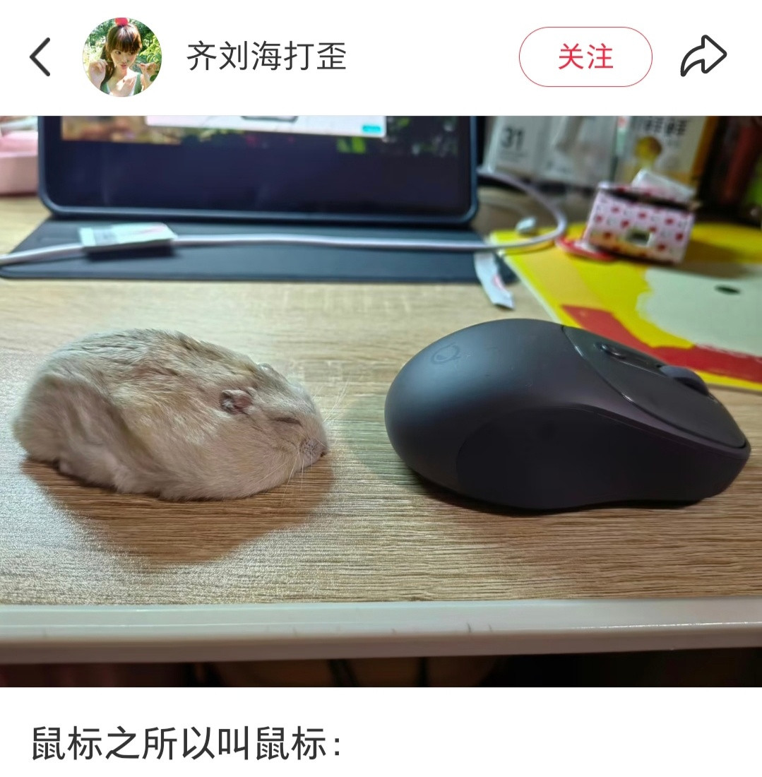 鼠标之所以叫鼠标：