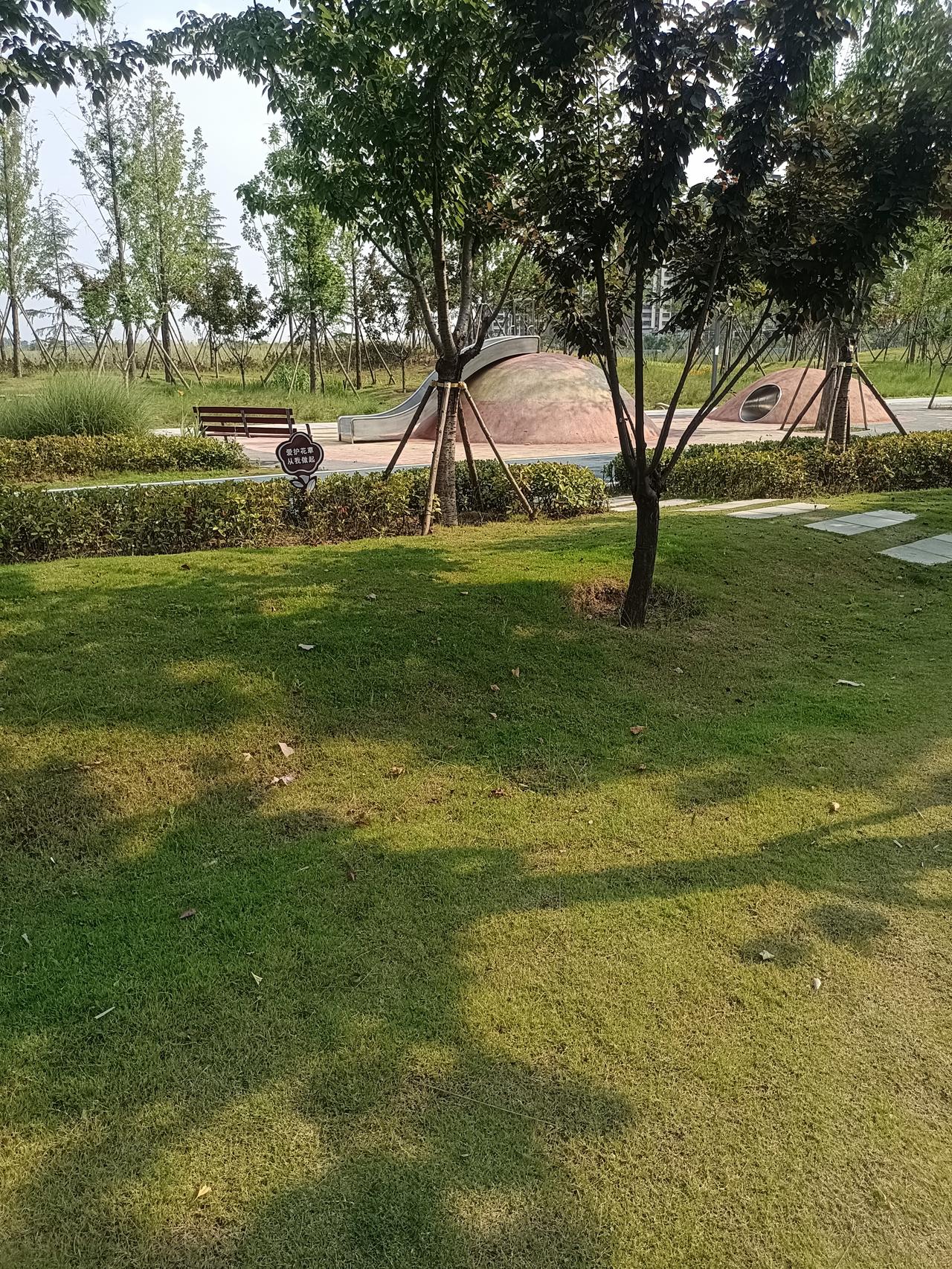 一个中年女人说：“我真的快愁死了！离婚快三年，快五十岁了，找也不是，不找也不是。