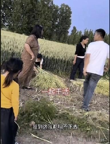 小故事！老壳子她打扮的漂漂亮亮又来了，看到李佳她们正在地里干活，就问