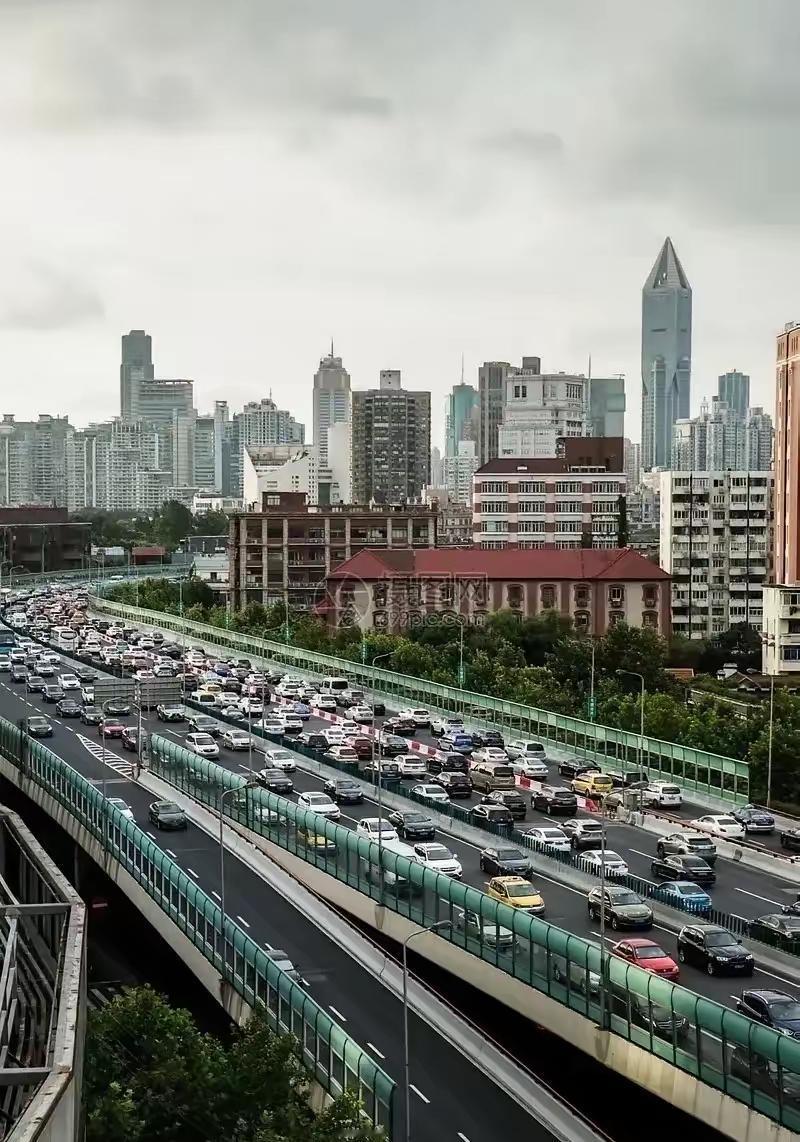 有网友称：上海目前交通状况最大的问题，在于无限发放绿牌，造成现在的网约车泛滥。