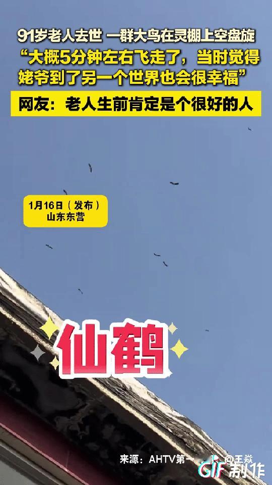 时间刚好在骨灰拿出来的那一刻，鸟全飞走了。没人吵也没人赶，它们自己走的。这地