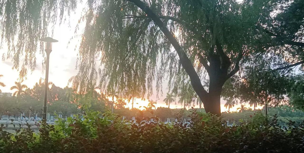身边越来越多朋友选择“搭伙过日子”——不领证不办酒，就是两个人一起生活。有人说