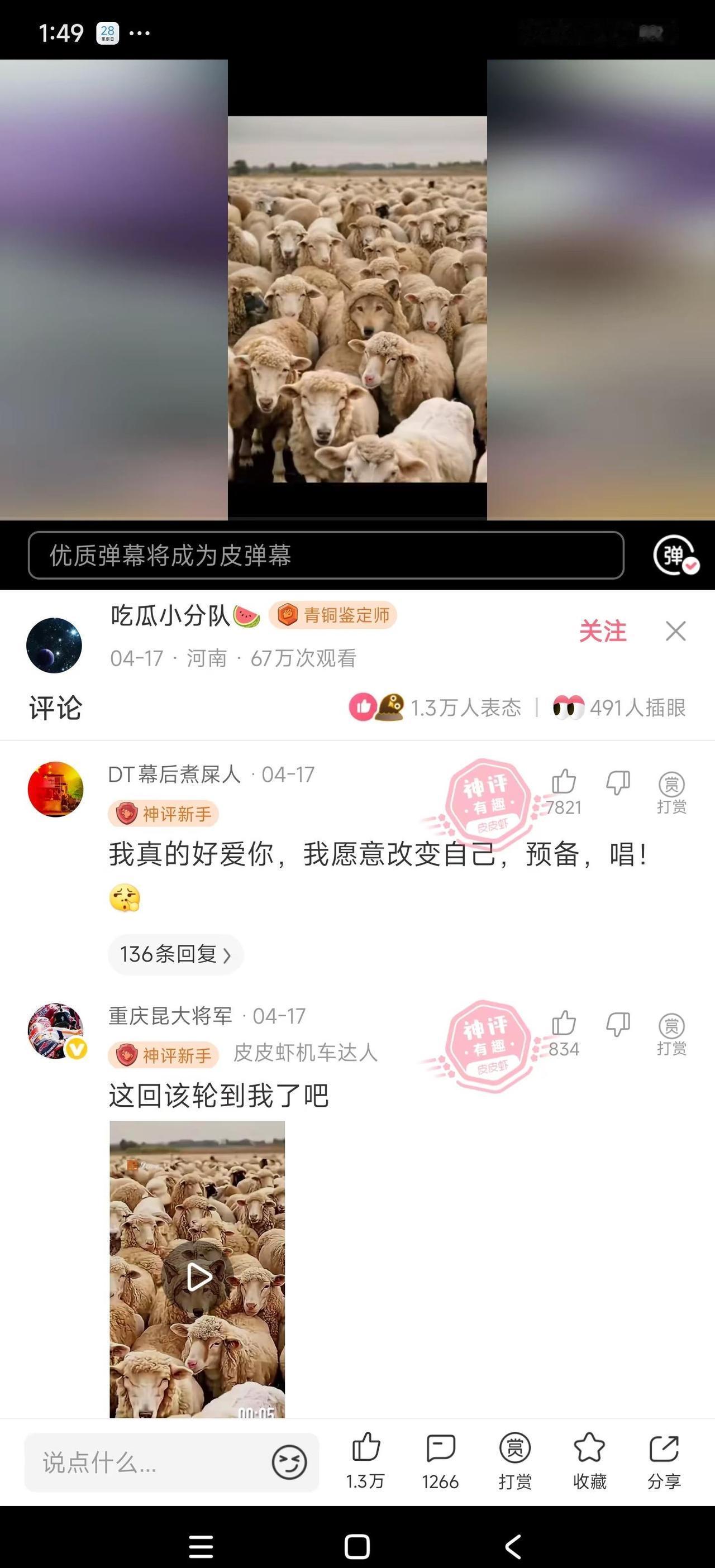 太好笑了，搞笑视频神评论